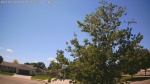 Web Cam Image - Wed, 06/10/2026 1:16pm CDT