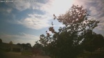 Web Cam Image - Sun, 05/31/2026 5:28pm CDT