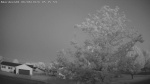 Web Cam Image - Sat, 06/06/2026 4:37am CDT