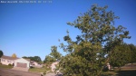Web Cam Image - Sat, 06/20/2026 6:41am CDT