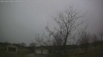 Web Cam Image - Thu, 04/09/2026 11:37am CDT