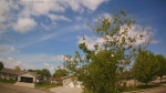 Web Cam Image - Fri, 05/22/2026 10:52am CDT