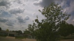 Web Cam Image - Thu, 05/28/2026 1:37pm CDT