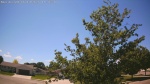 Web Cam Image - Wed, 06/10/2026 1:13pm CDT