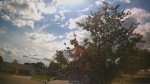 Web Cam Image - Thu, 06/11/2026 4:01pm CDT