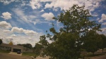 Web Cam Image - Mon, 06/22/2026 11:31am CDT