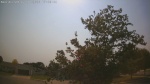 Web Cam Image - Wed, 07/01/2026 4:02pm CDT