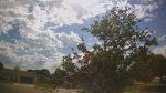 Web Cam Image - Thu, 06/04/2026 4:11pm CDT