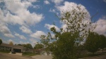 Web Cam Image - Sat, 05/23/2026 11:58am CDT