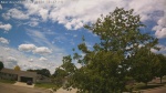 Web Cam Image - Mon, 06/22/2026 11:28am CDT