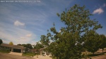 Web Cam Image - Wed, 06/03/2026 11:37am CDT