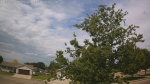 Web Cam Image - Sat, 06/13/2026 10:16am CDT