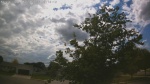 Web Cam Image - Mon, 06/22/2026 3:01pm CDT