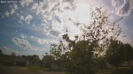 Web Cam Image - Sun, 05/24/2026 5:25pm CDT