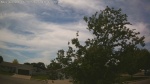 Web Cam Image - Sun, 06/07/2026 1:13pm CDT