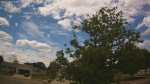 Web Cam Image - Mon, 06/22/2026 11:25am CDT