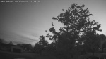 Web Cam Image - Thu, 06/25/2026 8:29pm CDT