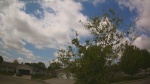 Web Cam Image - Sat, 05/23/2026 11:55am CDT
