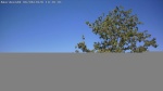 Web Cam Image - Sat, 06/06/2026 9:34am CDT