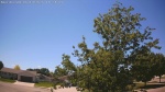 Web Cam Image - Wed, 06/10/2026 1:02pm CDT