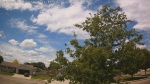 Web Cam Image - Mon, 06/22/2026 11:23am CDT