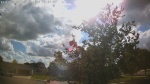 Web Cam Image - Wed, 06/17/2026 4:31pm CDT
