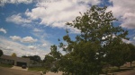 Web Cam Image - Mon, 06/22/2026 11:22am CDT