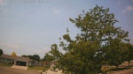 Web Cam Image - Sat, 06/27/2026 9:22am CDT