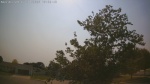 Web Cam Image - Wed, 07/01/2026 3:52pm CDT