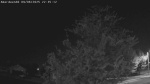 Web Cam Image - Thu, 09/04/2025 2:23pm CDT