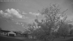 Web Cam Image - Sun, 05/24/2026 4:31am CDT