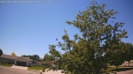 Web Cam Image - Wed, 06/10/2026 12:58pm CDT