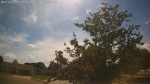 Web Cam Image - Thu, 06/11/2026 3:46pm CDT