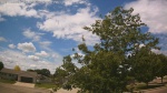 Web Cam Image - Mon, 06/22/2026 11:19am CDT