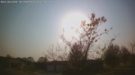 Web Cam Image - Fri, 05/09/2025 1:31pm CDT