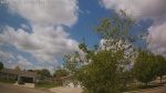 Web Cam Image - Sat, 05/23/2026 11:49am CDT