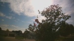 Web Cam Image - Sun, 05/31/2026 5:07pm CDT