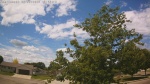 Web Cam Image - Mon, 06/22/2026 11:17am CDT