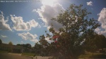 Web Cam Image - Fri, 06/05/2026 3:46pm CDT