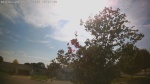 Web Cam Image - Sun, 05/31/2026 5:04pm CDT
