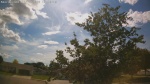 Web Cam Image - Thu, 06/11/2026 3:40pm CDT