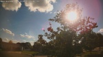 Web Cam Image - Thu, 06/18/2026 5:23pm CDT