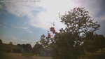 Web Cam Image - Sun, 05/31/2026 5:01pm CDT