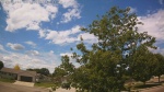 Web Cam Image - Mon, 06/22/2026 11:11am CDT
