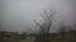Web Cam Image - Thu, 04/09/2026 11:13am CDT