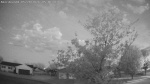 Web Cam Image - Sun, 05/24/2026 4:20am CDT