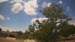 Web Cam Image - Wed, 06/03/2026 2:01pm CDT
