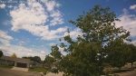 Web Cam Image - Mon, 06/22/2026 11:10am CDT