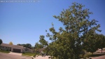 Web Cam Image - Wed, 06/10/2026 12:46pm CDT