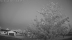 Web Cam Image - Fri, 06/12/2026 4:32am CDT